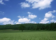 草原和蔚蓝的天空图片