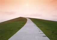 夕阳下的马路图片