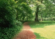 绿荫小路图片大全