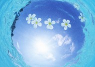 缤纷碧蓝的海滨图片