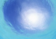 从水下往上看的图片