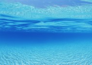 从水下往上看的图片