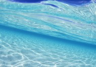 从水下往上看的图片