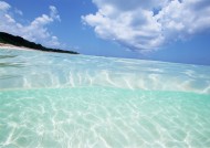 从水下往上看的图片