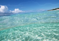 从水下往上看的图片