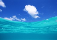 从水下往上看的图片