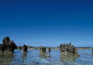 大自然的风景图片