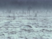 云雾缭绕自然风景图片