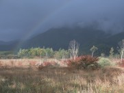 云雾缭绕自然风景图片