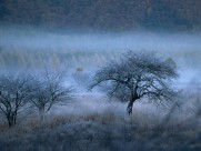 云雾缭绕自然风景图片