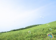晴朗的天空和草地图片大全