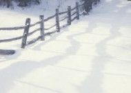 浪漫雪景图片