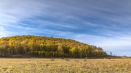 乌兰布统草原秋天自然风景图片
