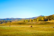 内蒙古自治区乌兰布统秋季风景图片