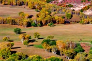 河北张家口坝上唯美秋景图片