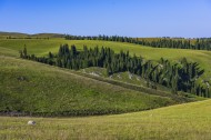 新疆伊犁喀拉峻大草原自然风景图片