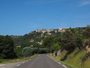 美国圣路易斯城市风景图片