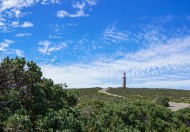澳大利亚袋鼠岛和汉密尔顿岛风景图片