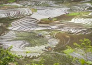越南乡村田园风景图片
