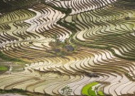 越南乡村田园风景图片