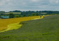 英国英格兰乡村风景图片