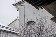 浙江海宁盐官古城雪景图片