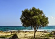 塞浦路斯风景图片