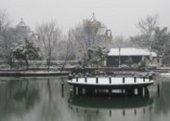 浙江杭州西溪湿地冬季风景图片大全