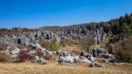 云南石林风景图片