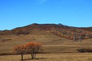 河北坝上秋景图片大全