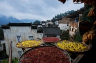 江西婺源篁岭晒秋风景图片大全