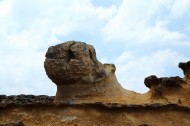 台湾野柳地质公园风景图片