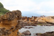 台湾野柳地质公园风景图片