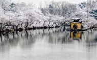江苏扬州瘦西湖唯美冬日雪景图片大全