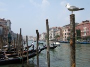 意大利水城威尼斯风景图片大全