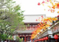 日本浅草寺的图片