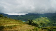 越南山地梯田风景图片