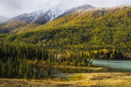 新疆喀纳斯秋天风景图片