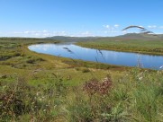 内蒙古呼伦贝尔大草原秀丽风景图片大全