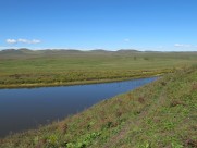 内蒙古呼伦贝尔大草原秀丽风景图片大全