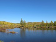 内蒙古呼伦贝尔大草原秀丽风景图片大全
