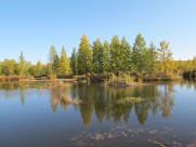 内蒙古呼伦贝尔大草原秀丽风景图片大全