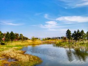 上海淀山湖水墨风景图片大全