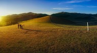 内蒙古乌兰布统风景图片