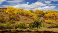 内蒙古乌兰布统风景图片大全