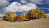 内蒙古乌兰布统风景图片大全