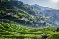 湖南紫鹊界梯田风景图片大全