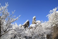 安徽安庆天竺山雪景图片