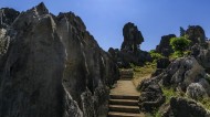 云南昆明石林风景图片