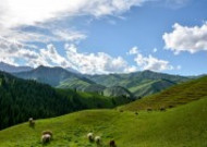 新疆科克尔斯陶牧区风景图片